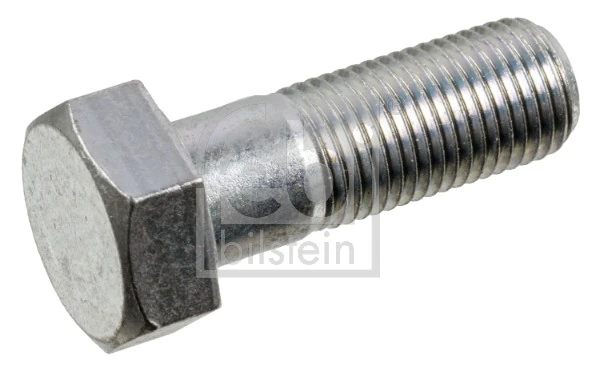 Bolt, brake caliper